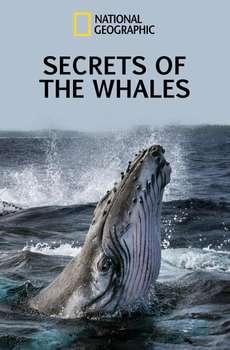 Secrets of the Whales