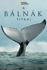 Secrets of the Whales - Posters