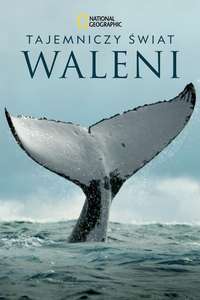 Secrets of the Whales - Posters