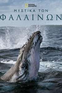 Secrets of the Whales - Posters