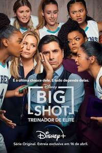 Big Shot - Posters
