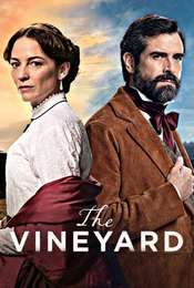 The Vineyard