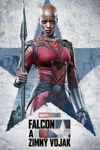The Falcon and the Winter Soldier - Posters