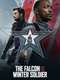 The Falcon and the Winter Soldier