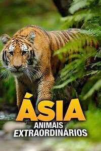 Asia's Weirdest - Posters