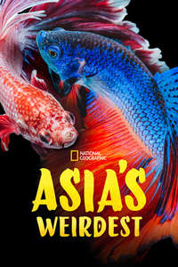 Asia's Weirdest - Posters