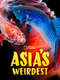 Asia's Weirdest : Season 1