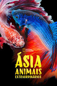 Asia's Weirdest - Posters