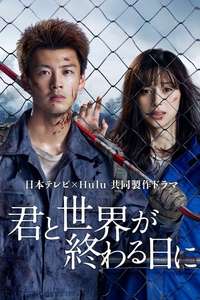 Love You as the World Ends - Posters