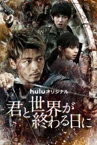 Love You as the World Ends - Posters