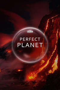 A Perfect Planet - Posters