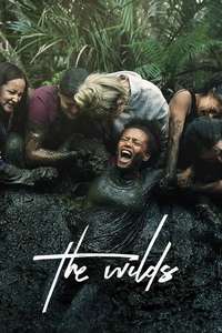 The Wilds - Posters