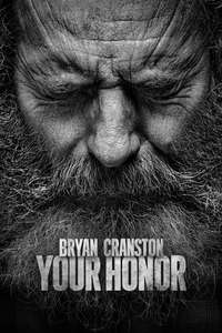 Your Honor - Posters