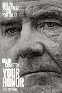 Your Honor - Posters