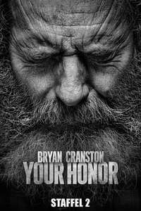 Your Honor - Posters