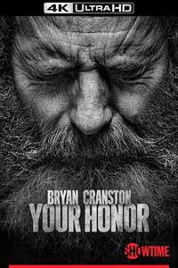 Your Honor - Posters
