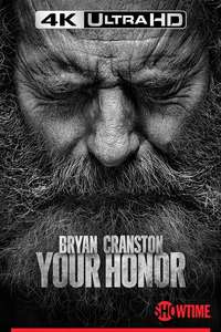 Your Honor - Posters