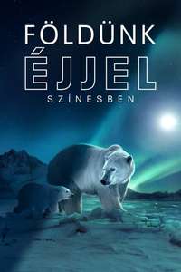 Earth At Night In Color - Posters