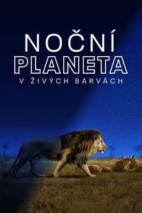 Earth At Night In Color - Posters
