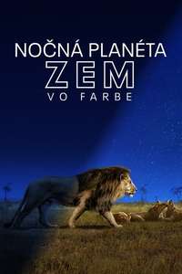 Earth At Night In Color - Posters