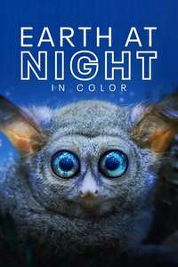 Earth At Night In Color - Posters