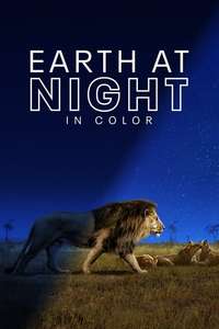 Earth At Night In Color - Posters