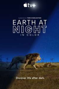 Earth At Night In Color - Posters