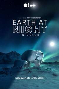 Earth At Night In Color - Posters