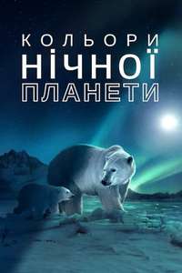 Earth At Night In Color - Posters