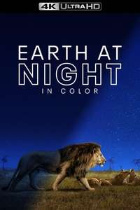Earth At Night In Color - Posters