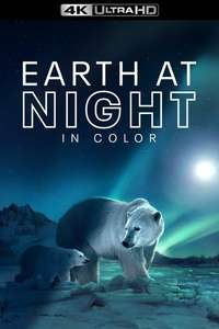 Earth At Night In Color - Posters