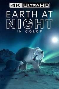 Earth At Night In Color - Posters