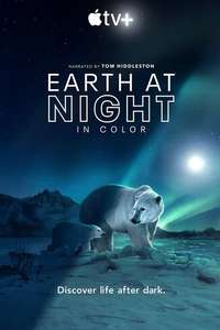 Earth At Night In Color - Posters