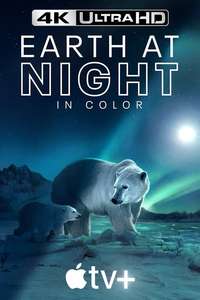 Earth At Night In Color - Posters