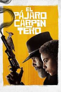 The Good Lord Bird - Posters