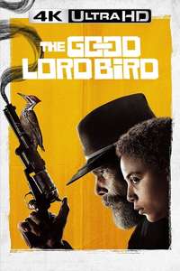 The Good Lord Bird - Posters