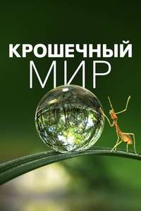 Tiny World - Posters
