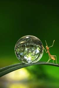 Tiny World - Posters
