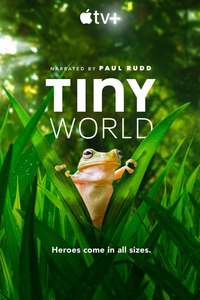 Tiny World - Posters