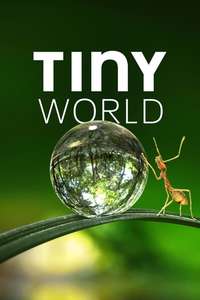 Tiny World - Posters