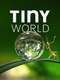 Tiny World