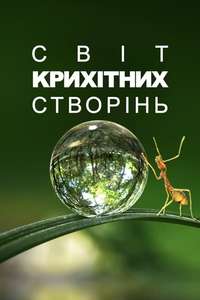 Tiny World - Posters