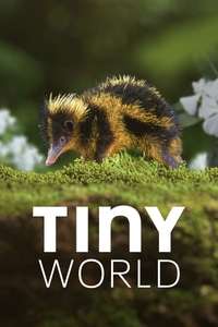 Tiny World - Posters