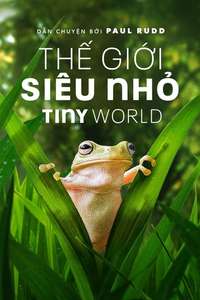 Tiny World - Posters
