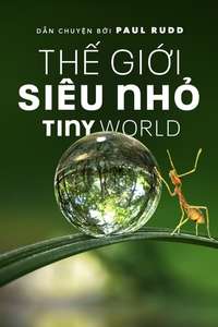 Tiny World - Posters