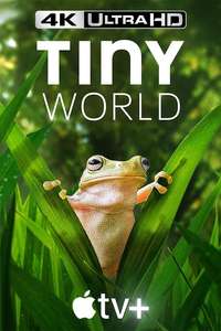 Tiny World - Posters