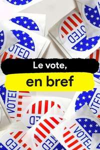Whose Vote Counts  Explained - Posters