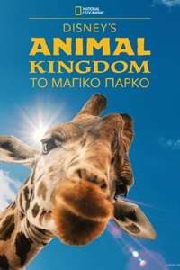 Magic of the Animal Kingdom - Posters