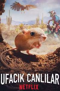Tiny Creatures - Posters