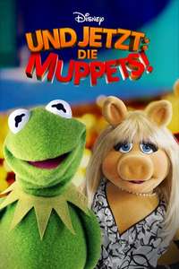 Muppets Now - Posters
